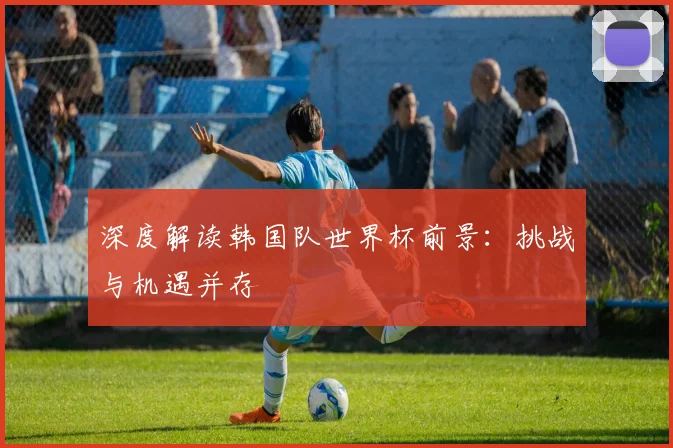 深度解读韩国队世界杯前景：挑战与机遇并存