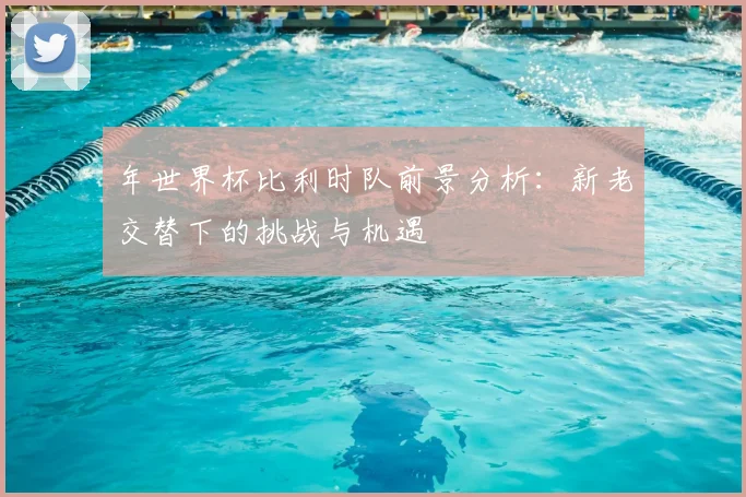 年世界杯比利时队前景分析：新老交替下的挑战与机遇