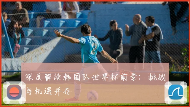 深度解读韩国队世界杯前景：挑战与机遇并存